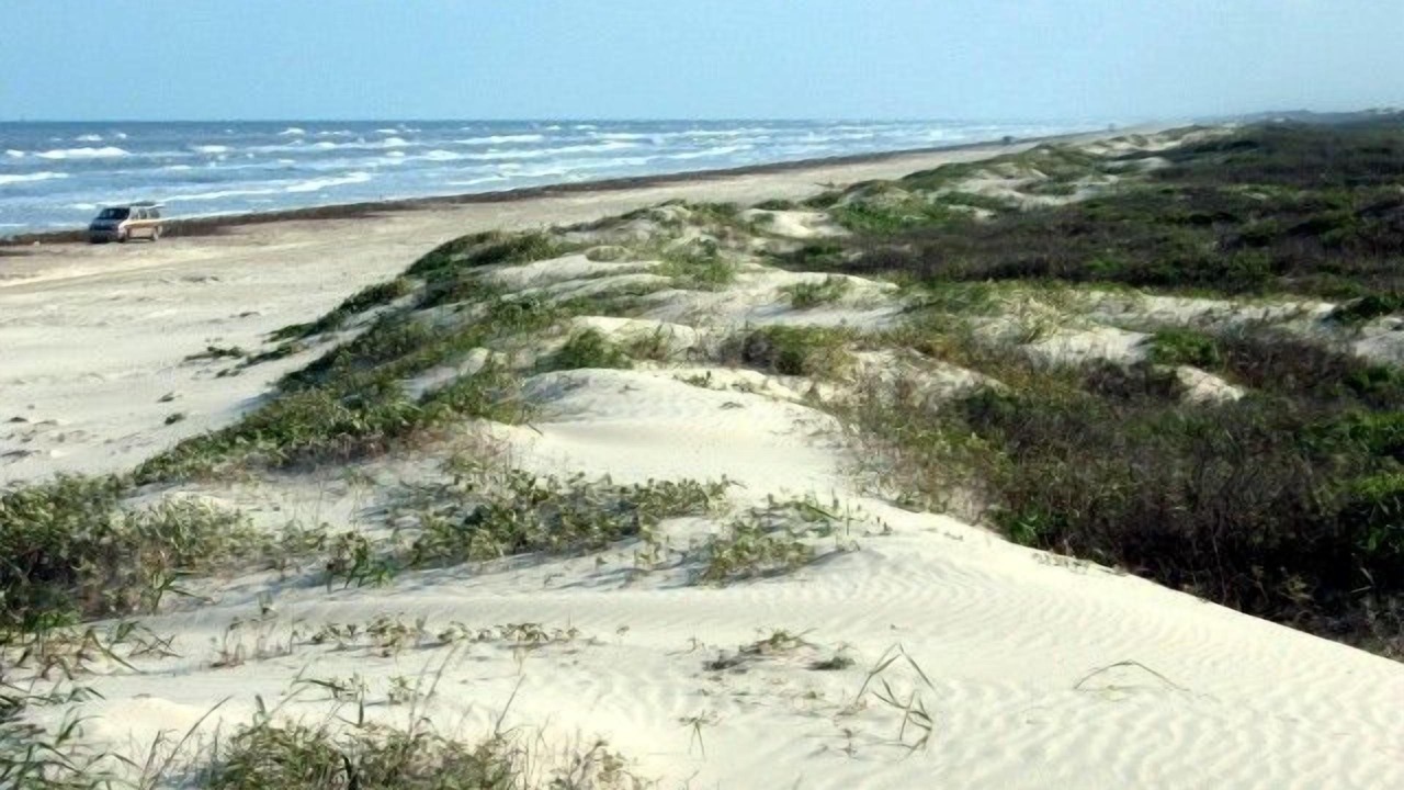Photo of Others in Corpus Christi