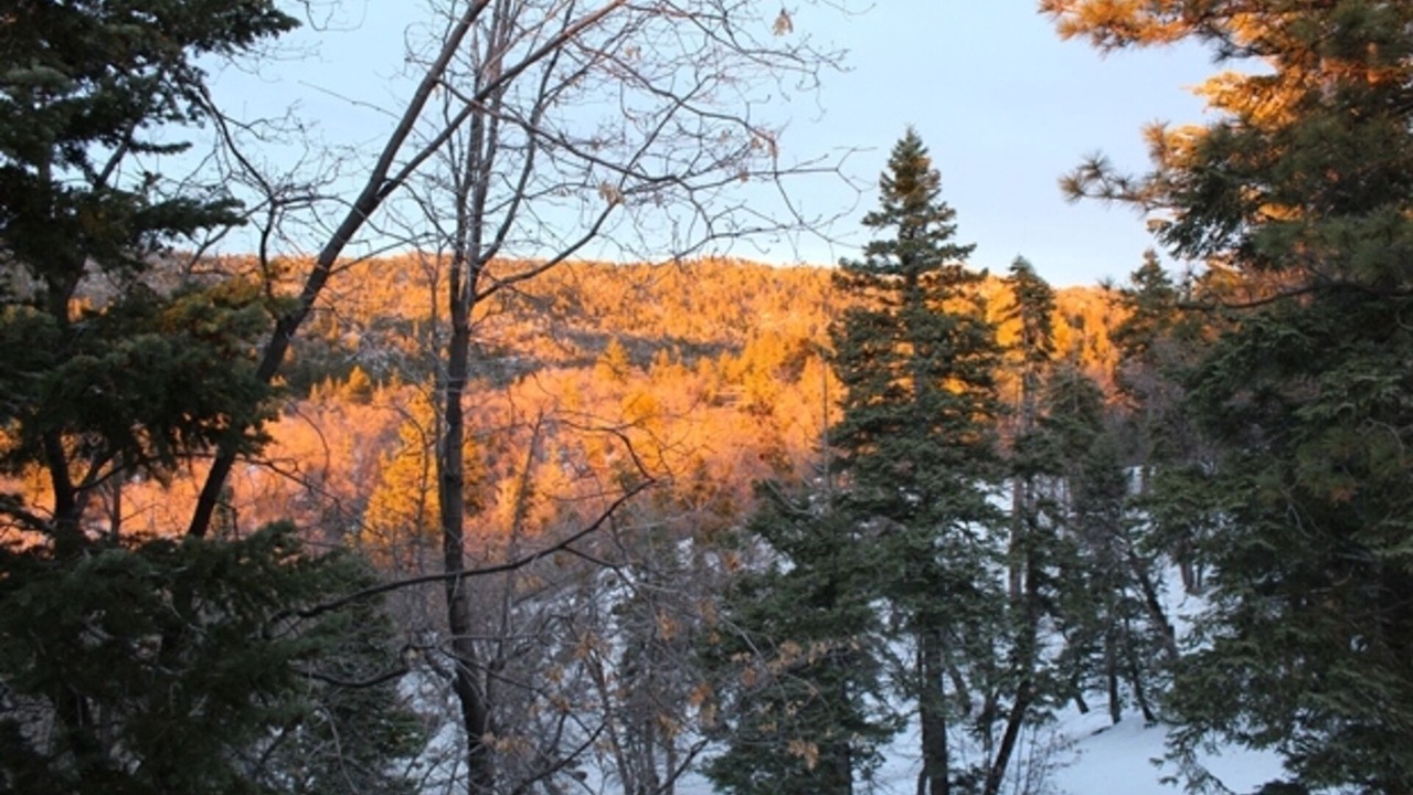 Photo of Others in Arrowbear Lake