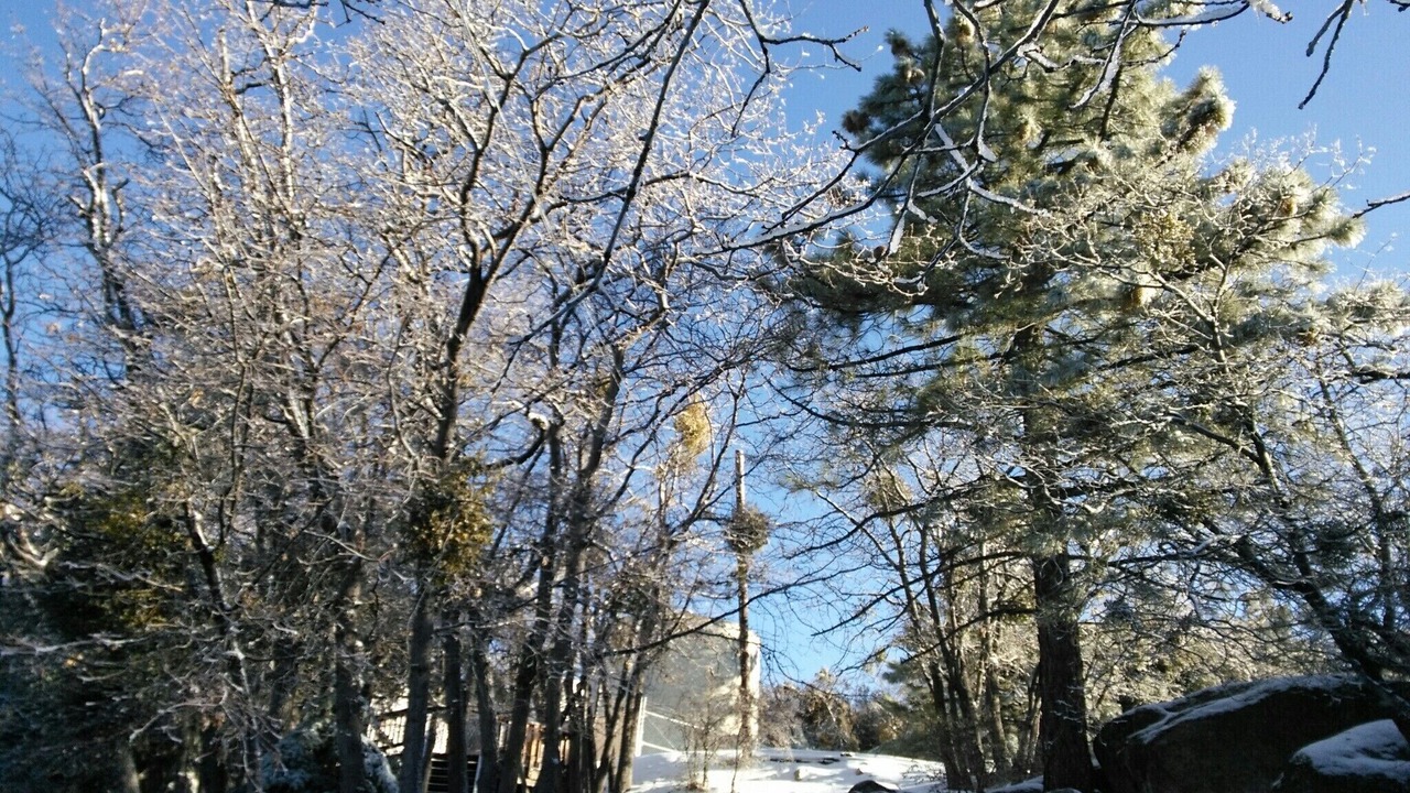 Photo of Others in Arrowbear Lake
