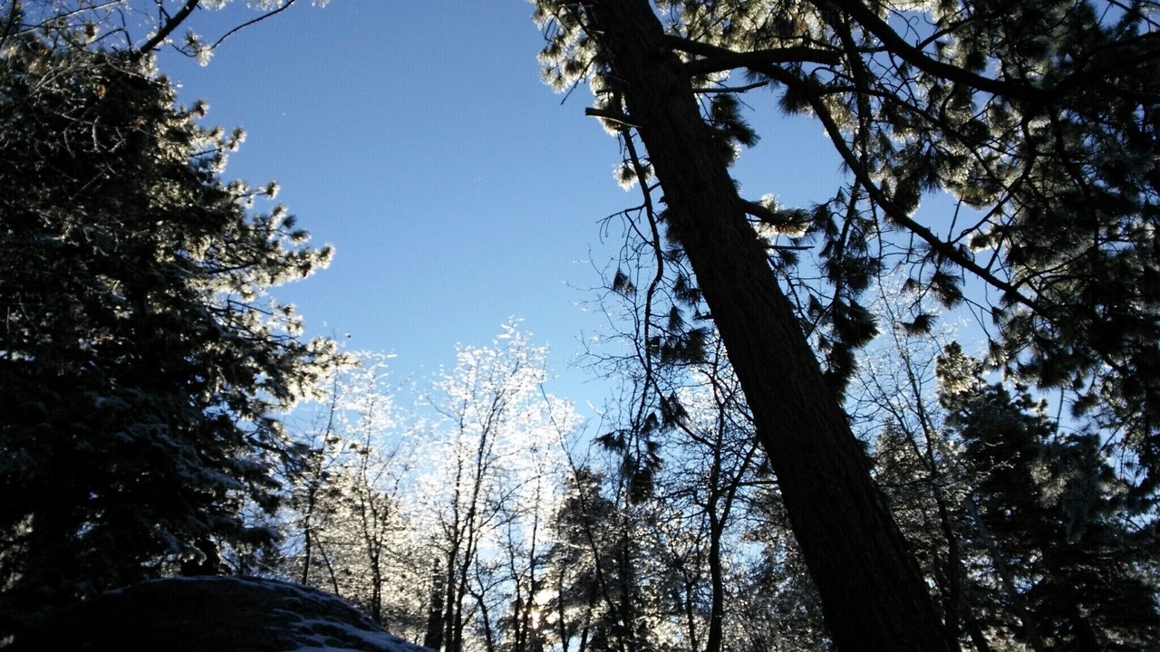 Photo of Others in Arrowbear Lake