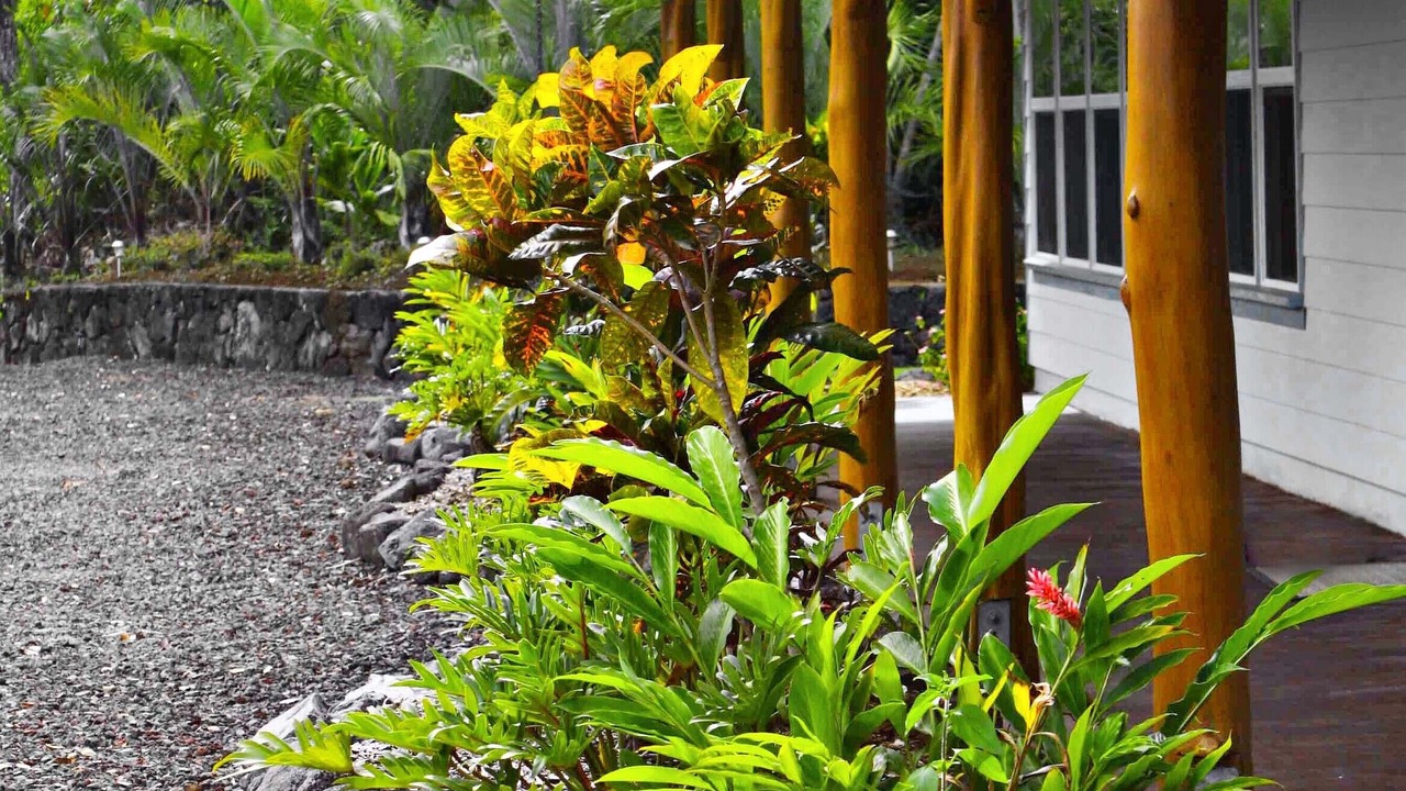 Photo of Others in Keaau