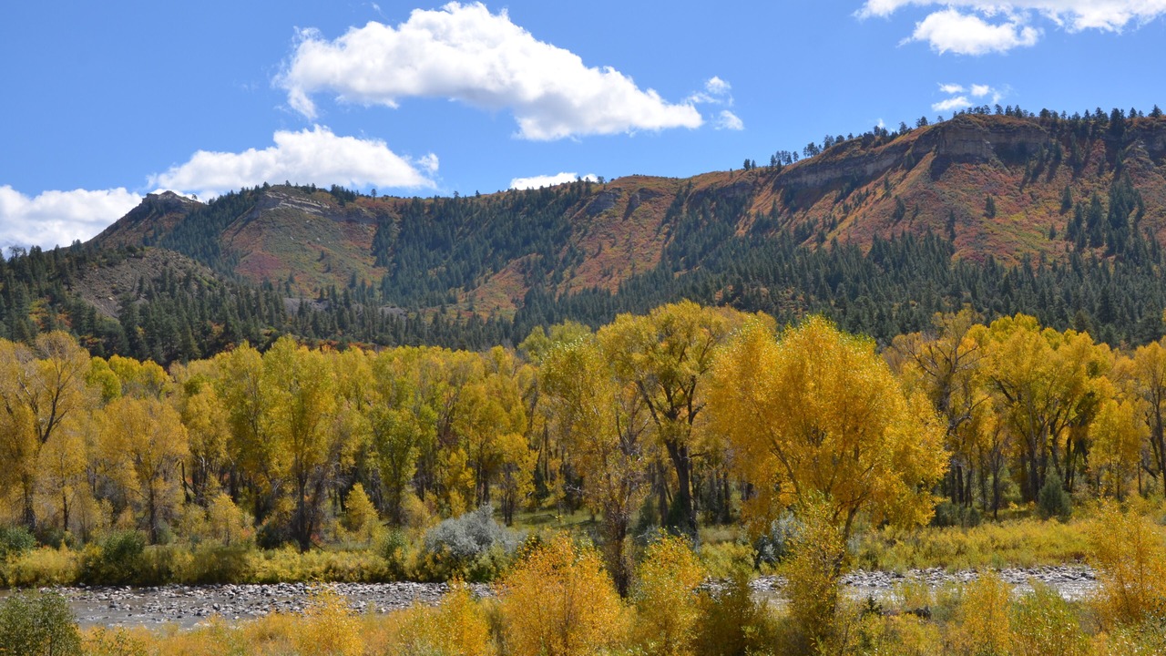 Photo of Outdoor in Pagosa Springs