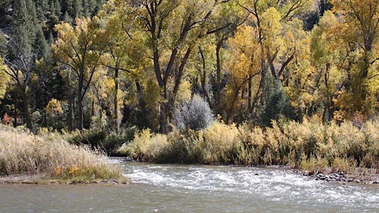 Photo of Others in Pagosa Springs