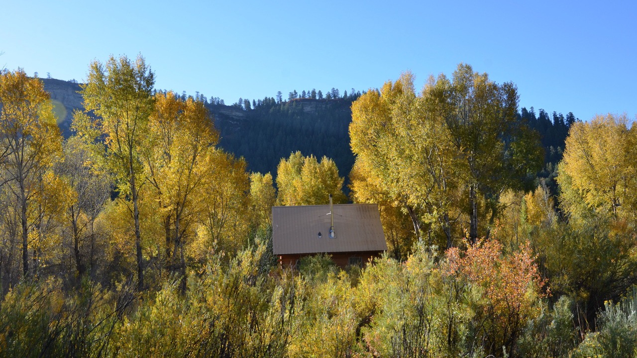 Photo of Others in Pagosa Springs