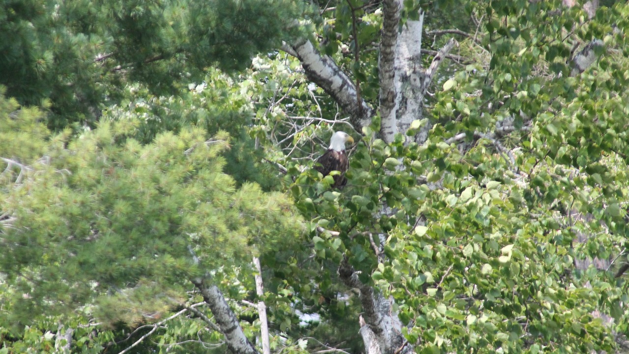 Photo of Outdoor in Barton City