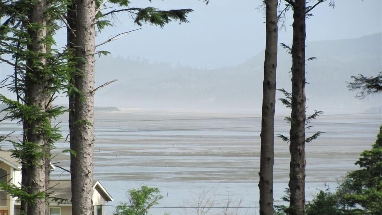 Photo of Others in Tillamook