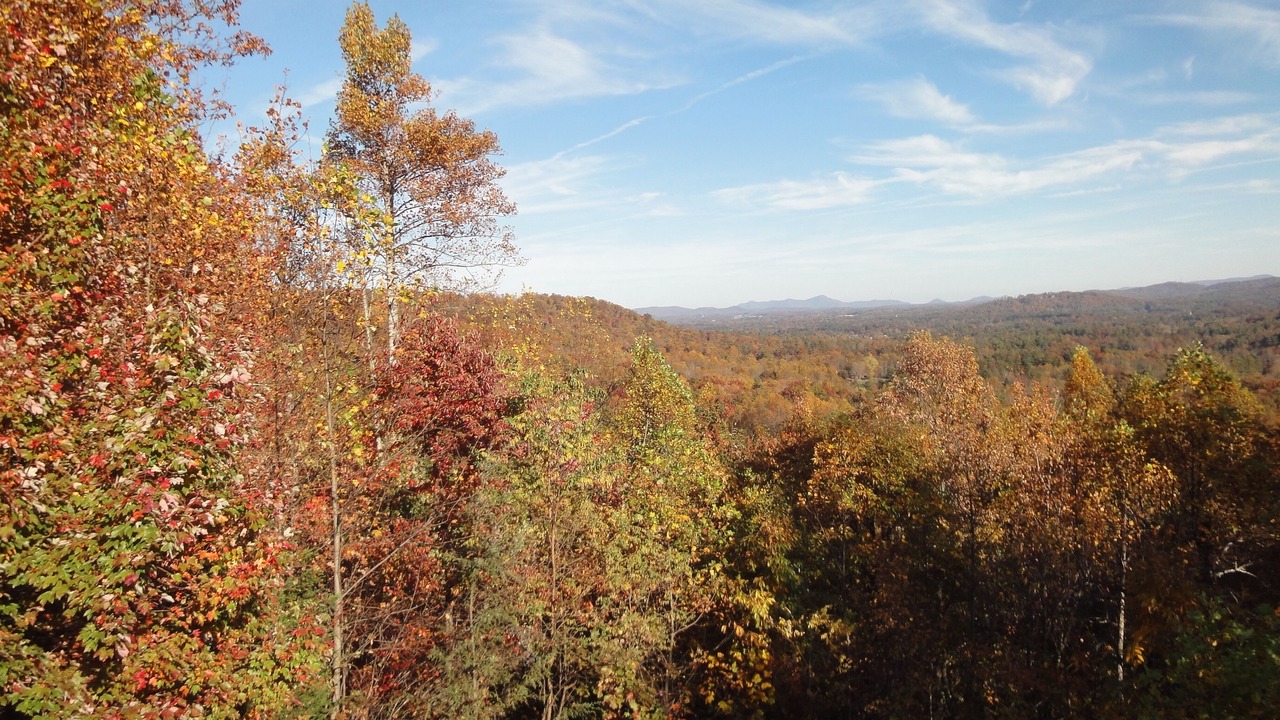 Photo of Others in Hendersonville