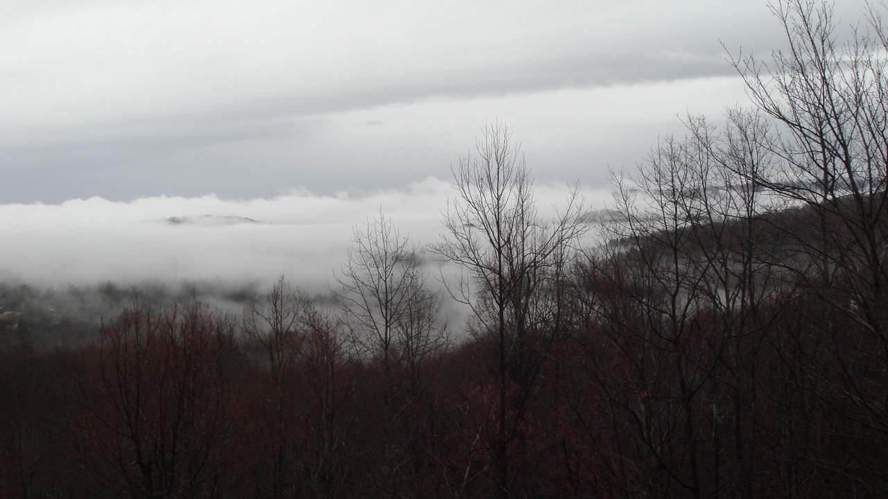 Photo of Others in Hendersonville