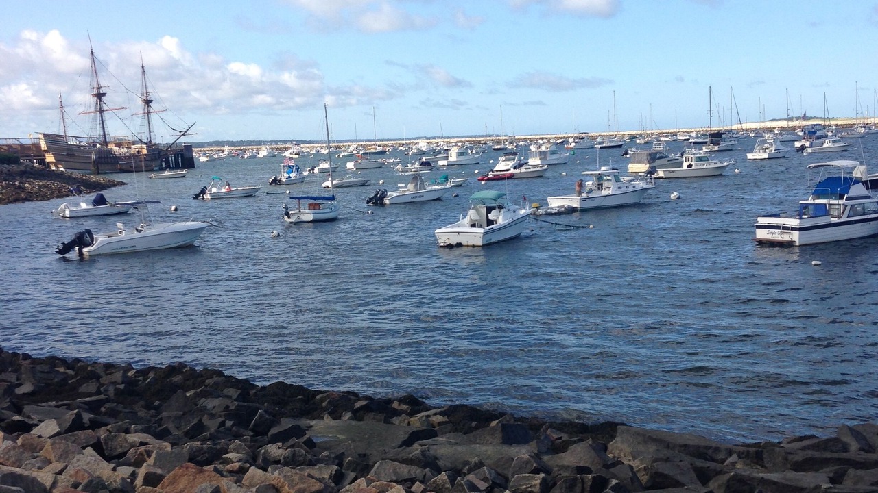 Photo of Others in Manomet