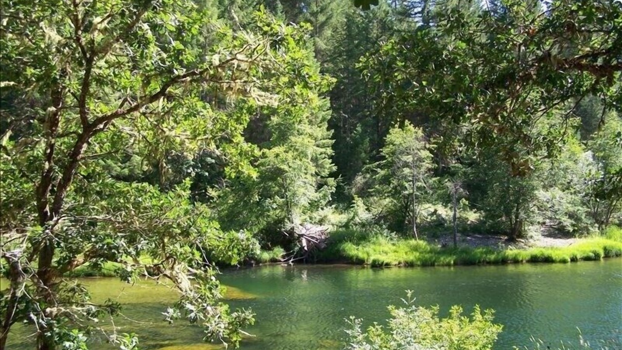 Photo of Outdoor in Douglas County