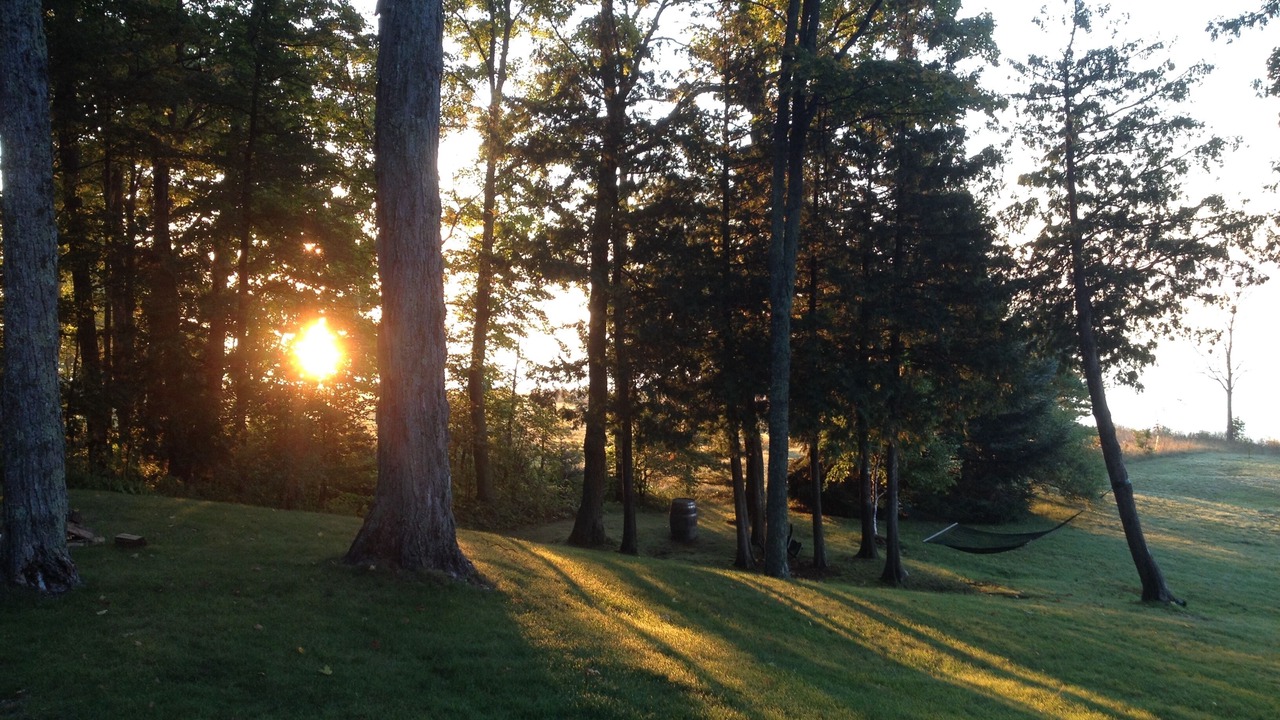 Photo of Outdoor in Suttons Bay