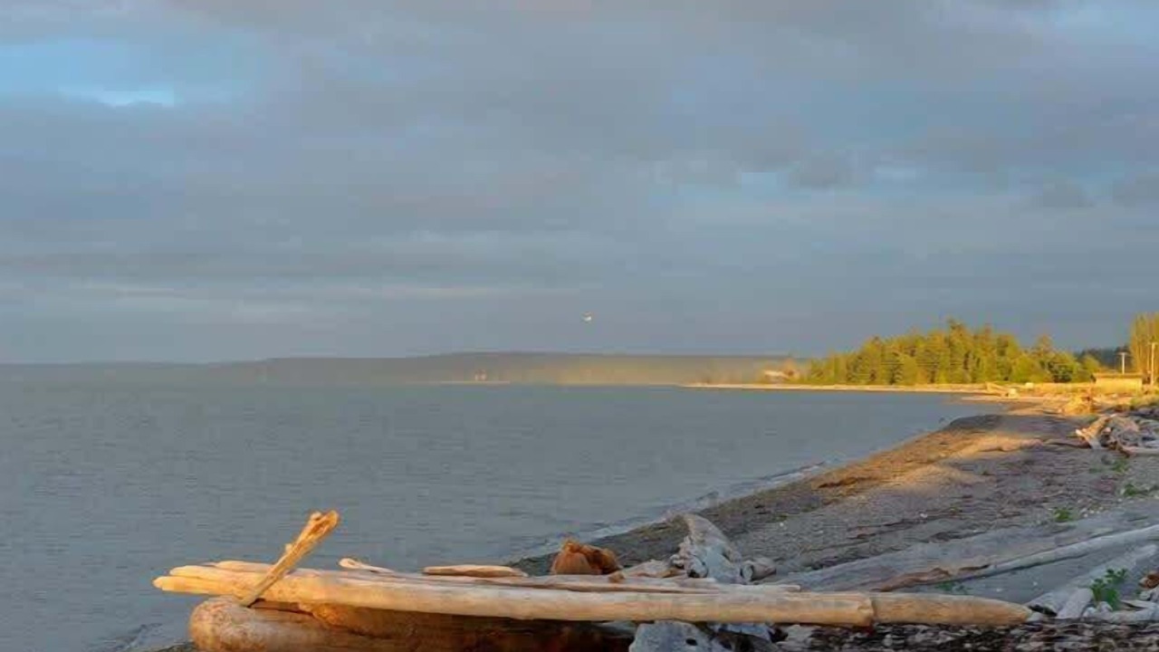 Photo of Others in Sequim