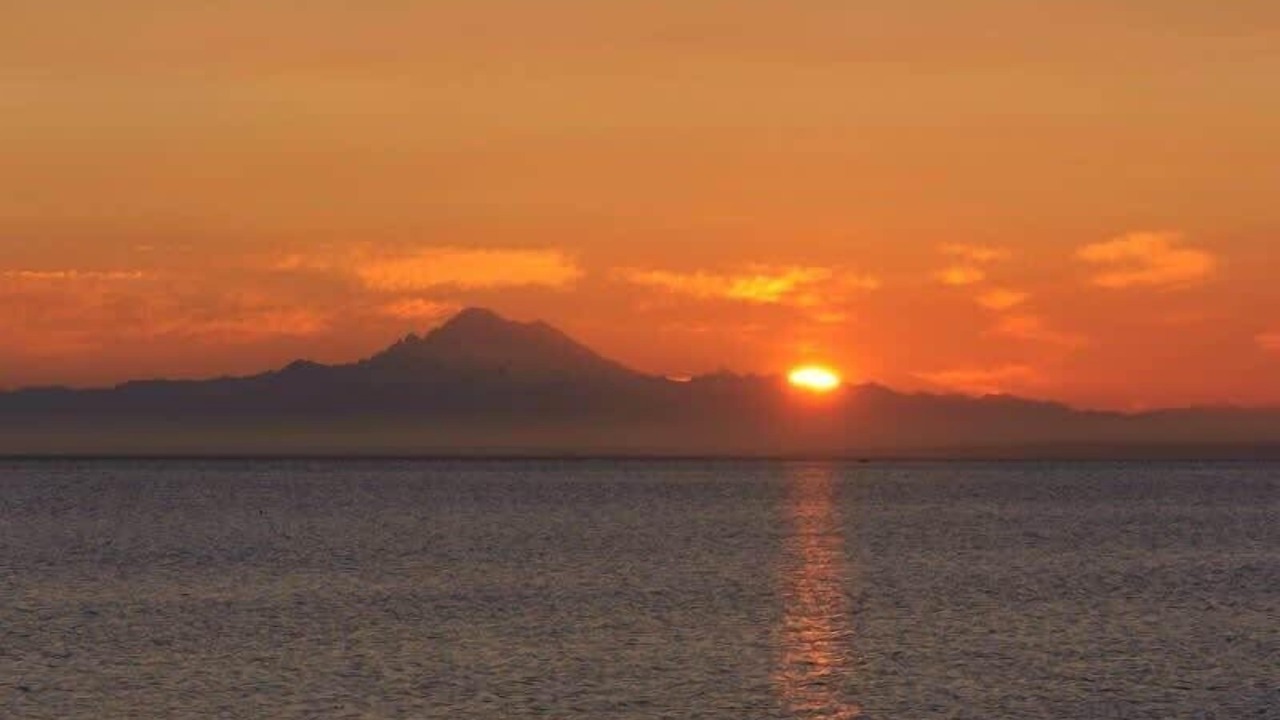 Photo of Others in Sequim