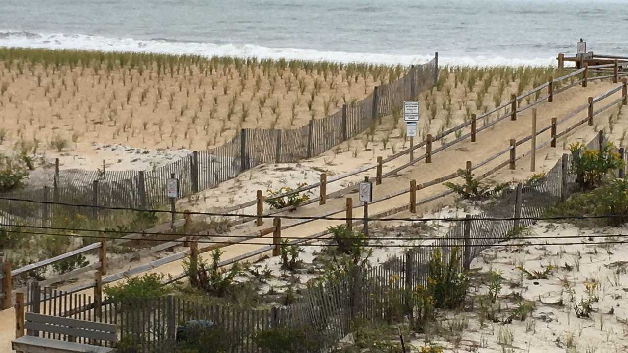 Photo of Others in South Beach Haven