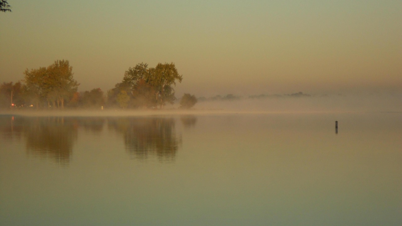 Photo of Others in Lakeview