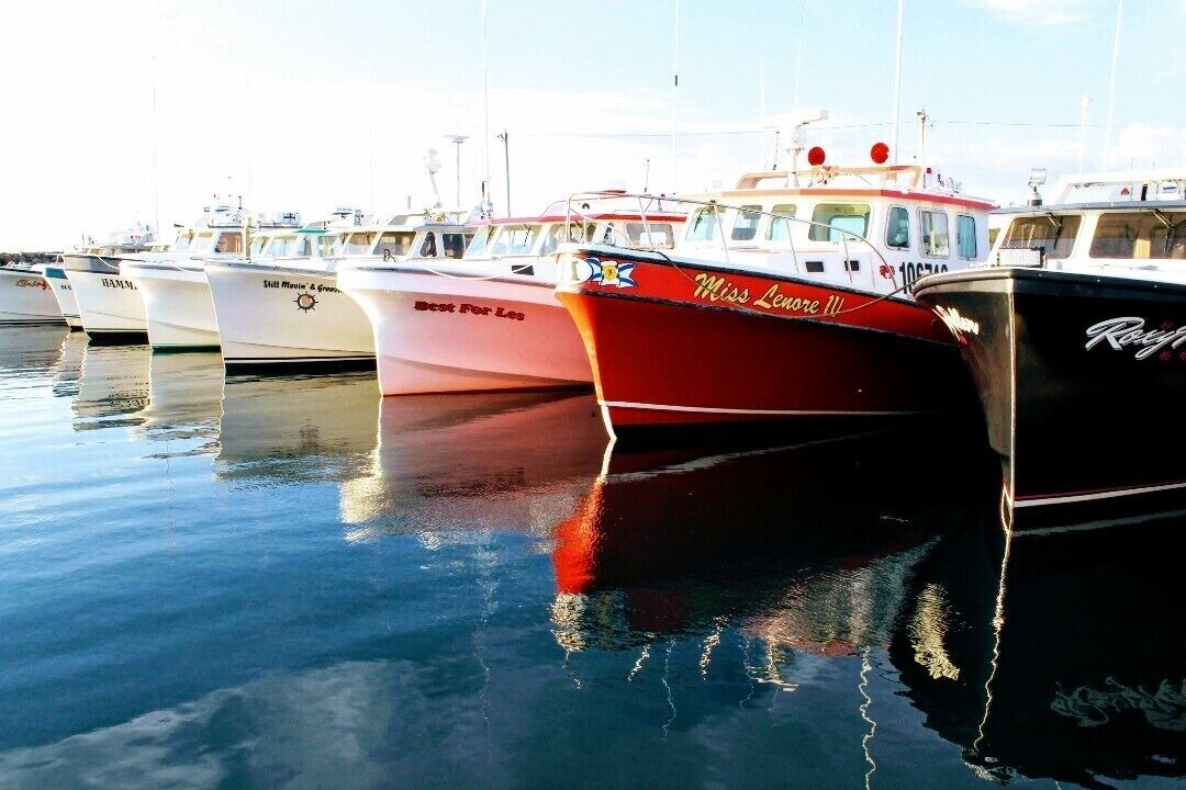 Photo of Others in L'Ardoise West