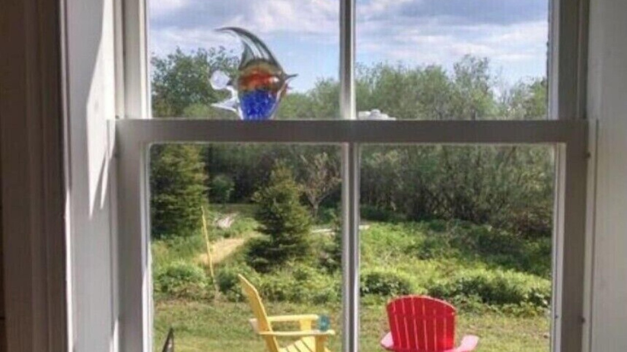 Photo of Others in L'Ardoise West