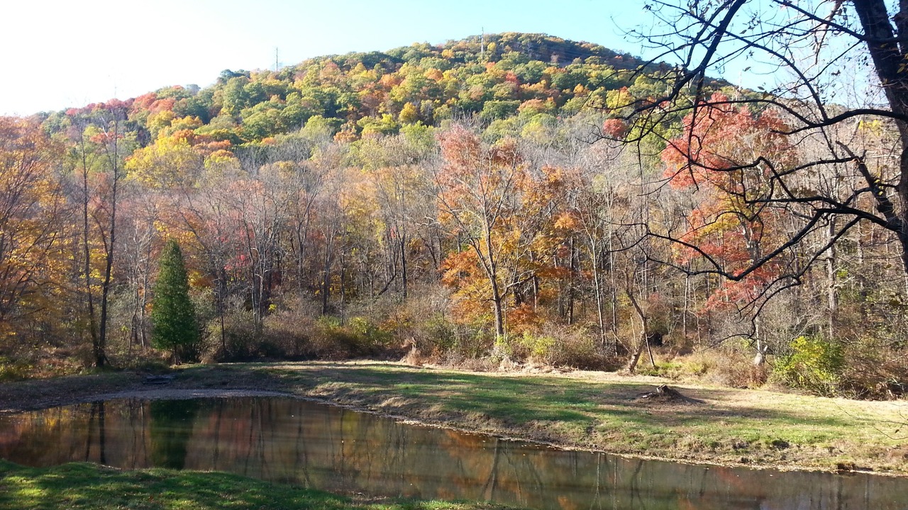 Photo of Others in Town of Ramapo