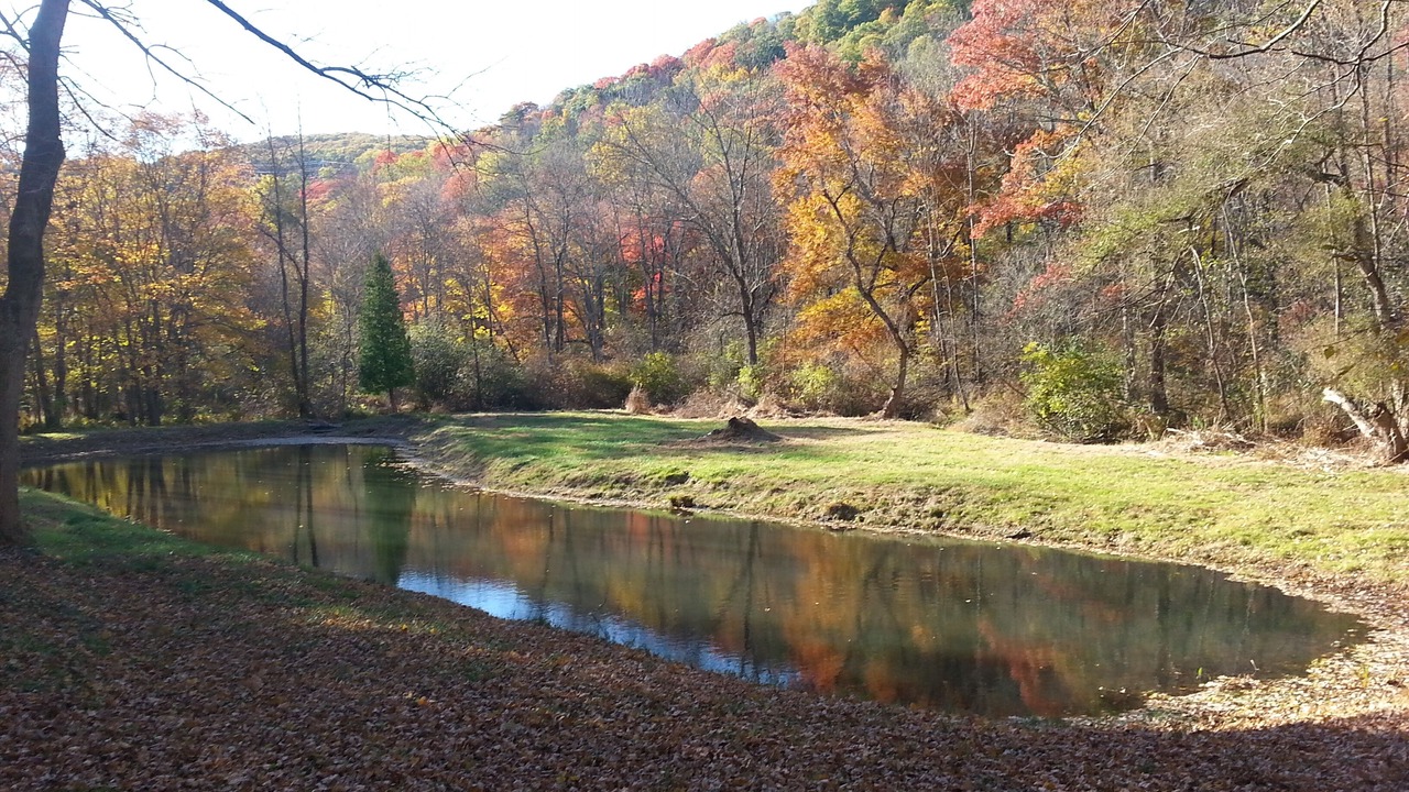 Photo of Others in Town of Ramapo