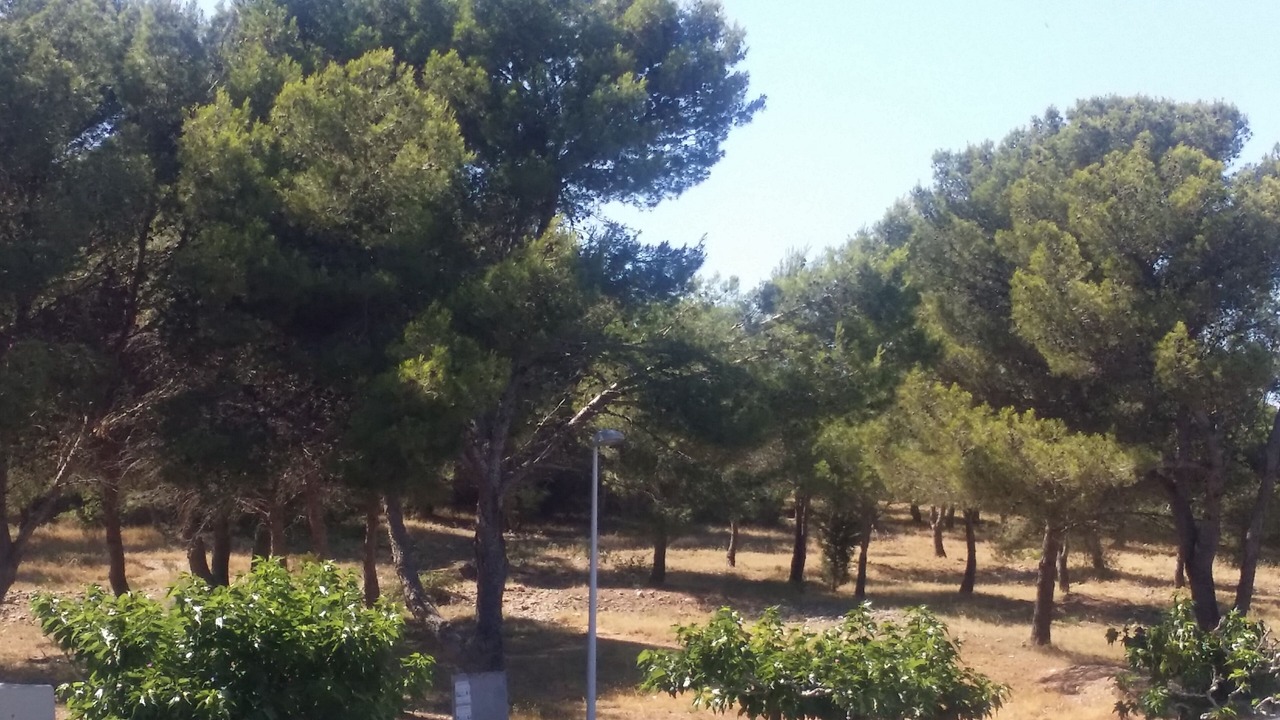 Photo of Outdoor in Gruissan