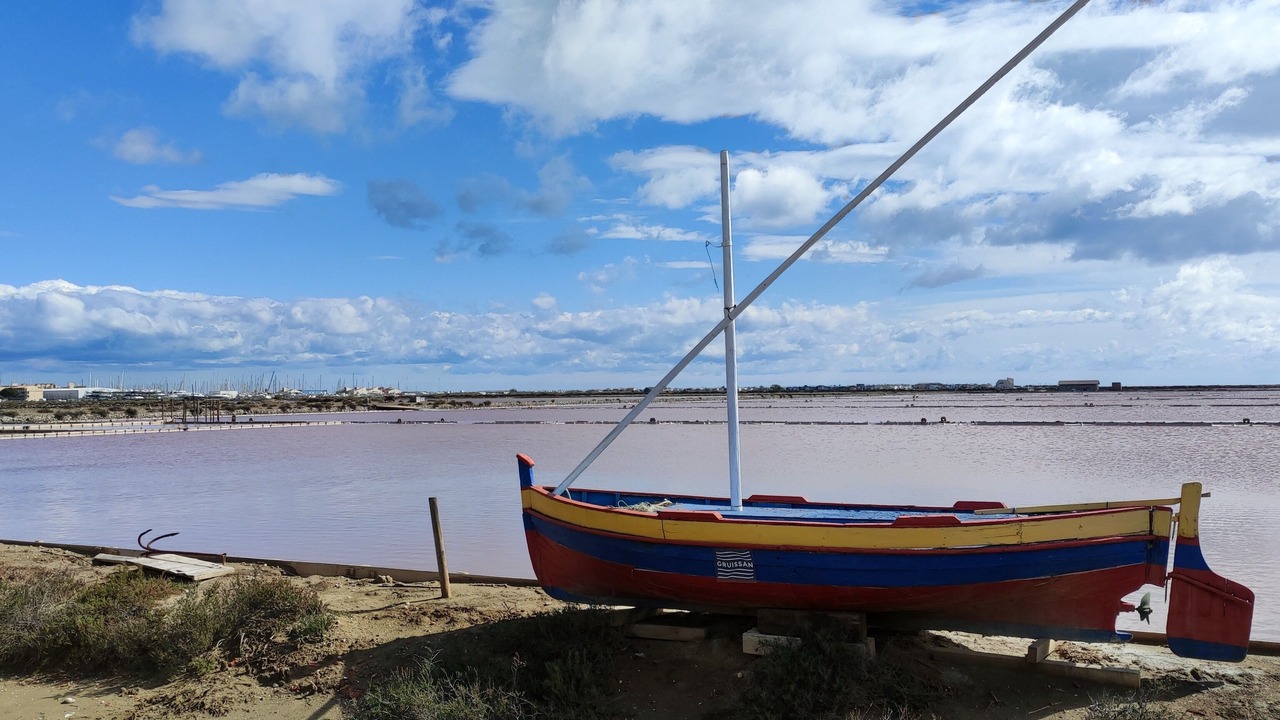 Photo of Others in Gruissan