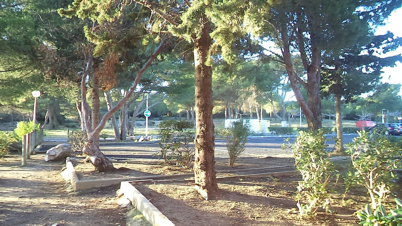 Photo of Outdoor in Gruissan