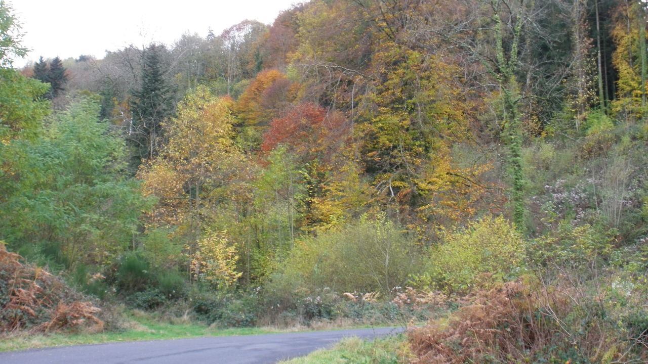 Photo of Outdoor in Ceilloux