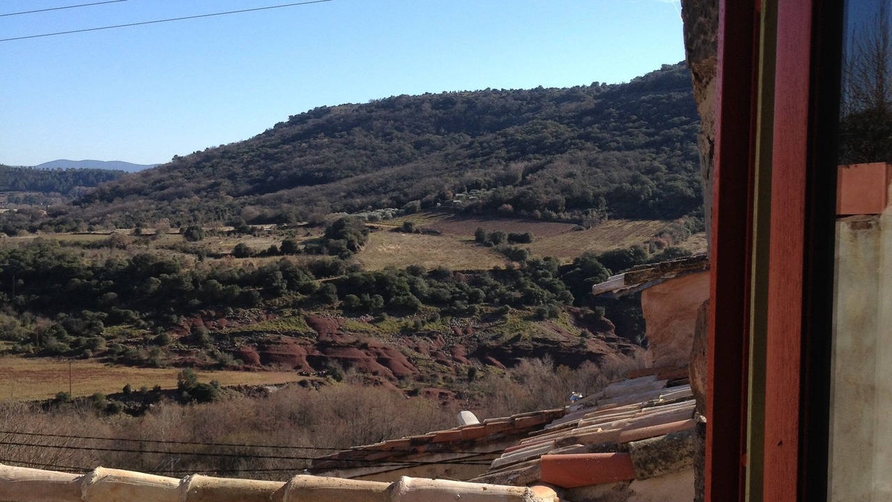 Photo of Others in Lacoste