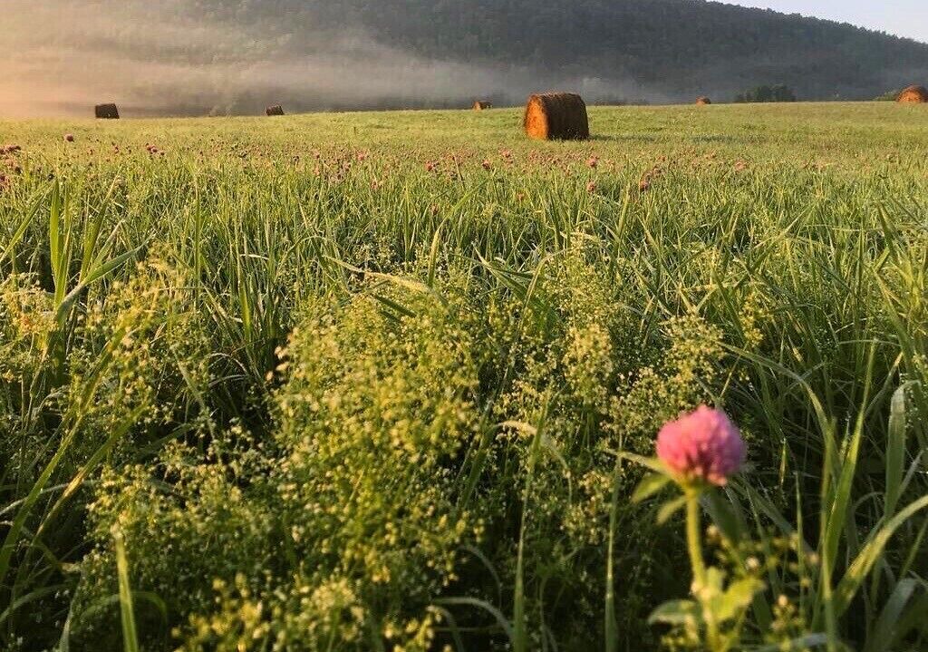 Photo of Outdoor in Dorloo