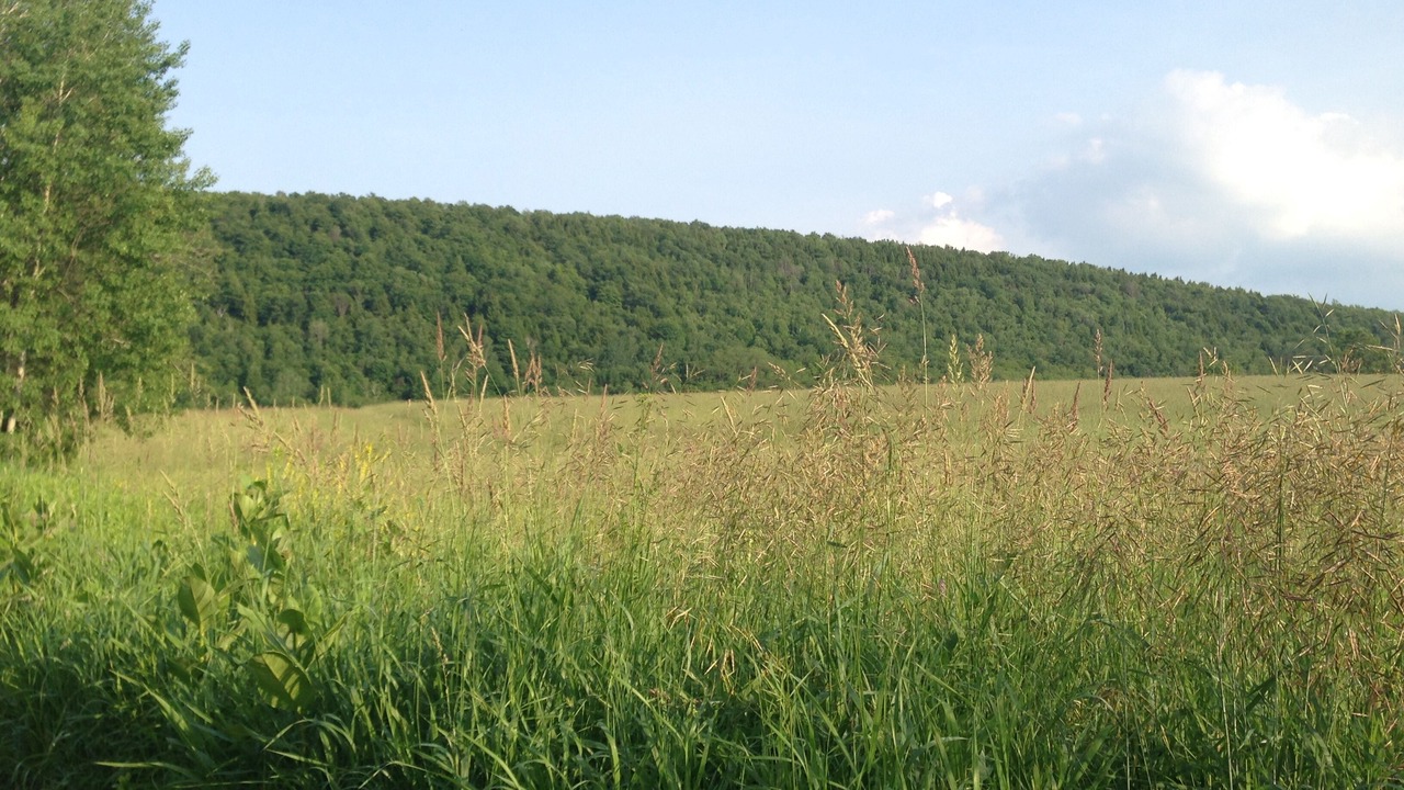 Photo of Outdoor in Dorloo