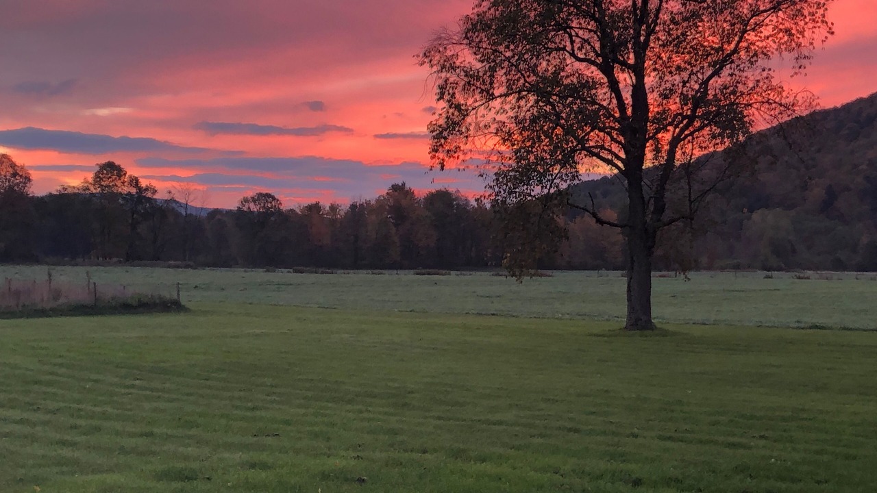 Photo of Others in Dorloo