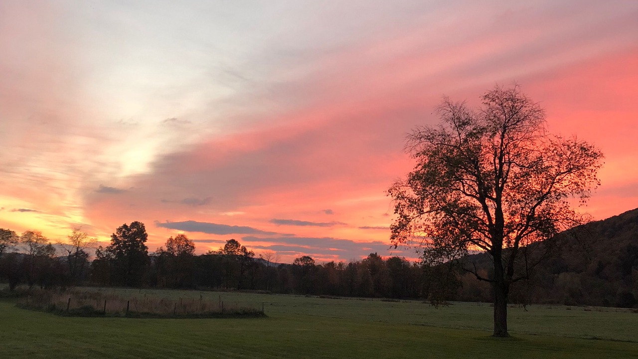 Photo of Others in Dorloo