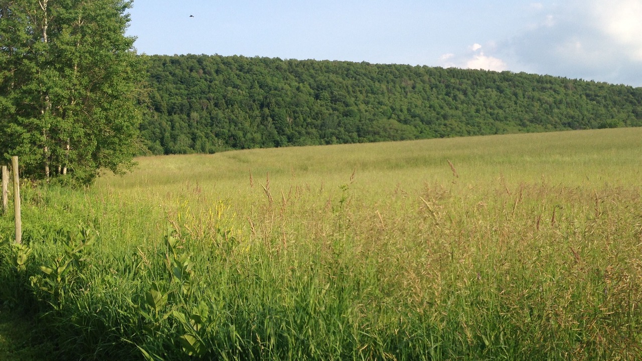 Photo of Outdoor in Dorloo