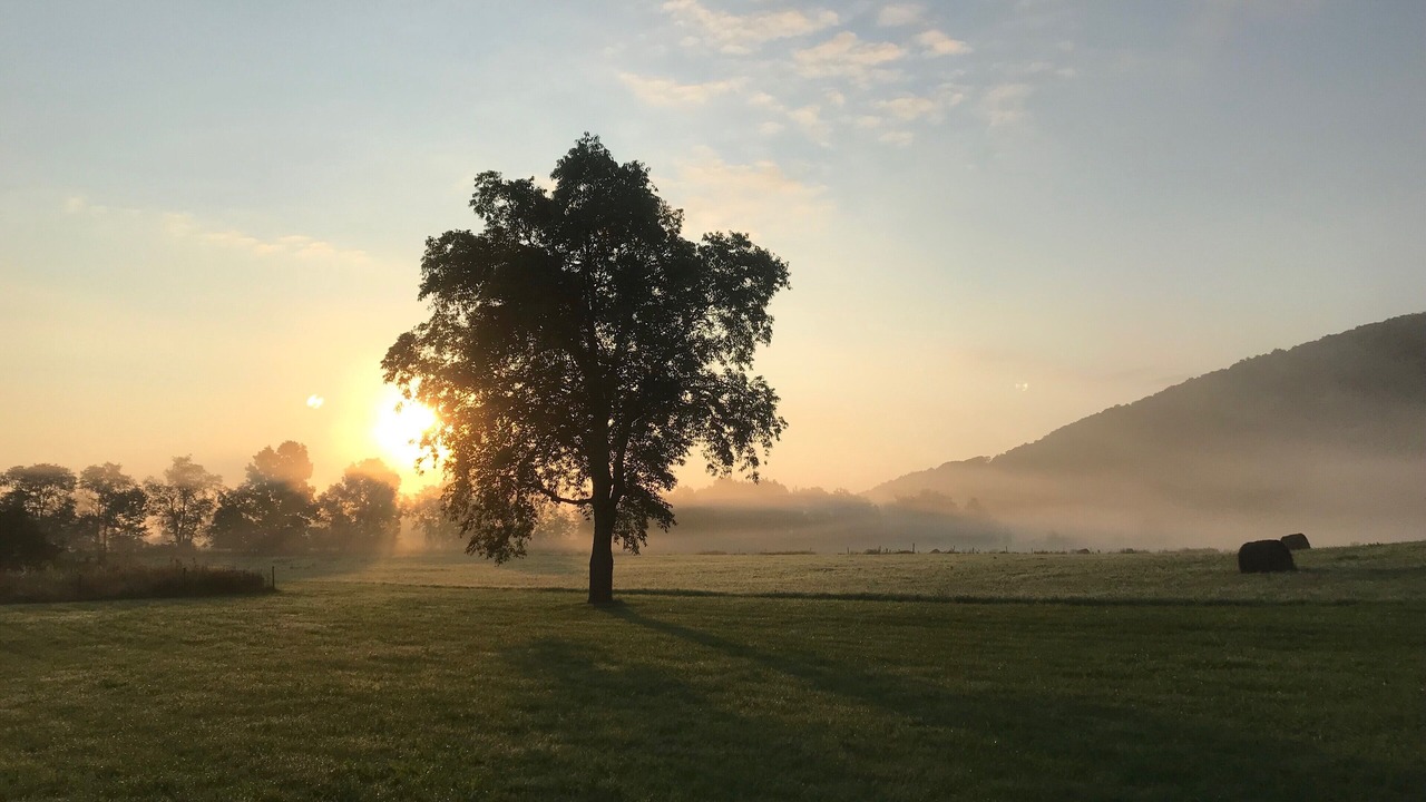 Photo of Others in Dorloo