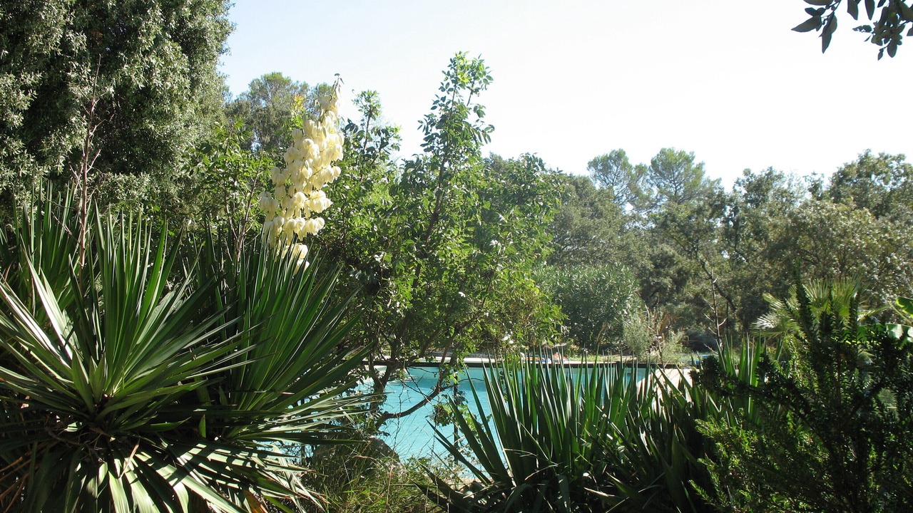 Photo of Outdoor in Assas