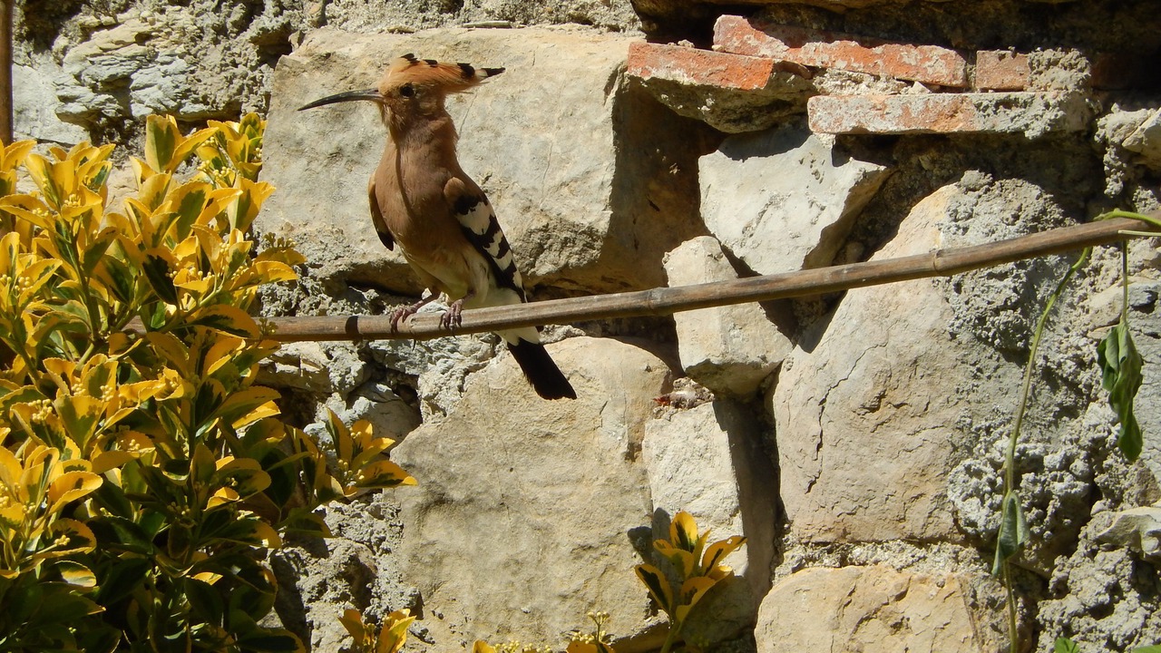 Photo of Outdoor in Aigremont