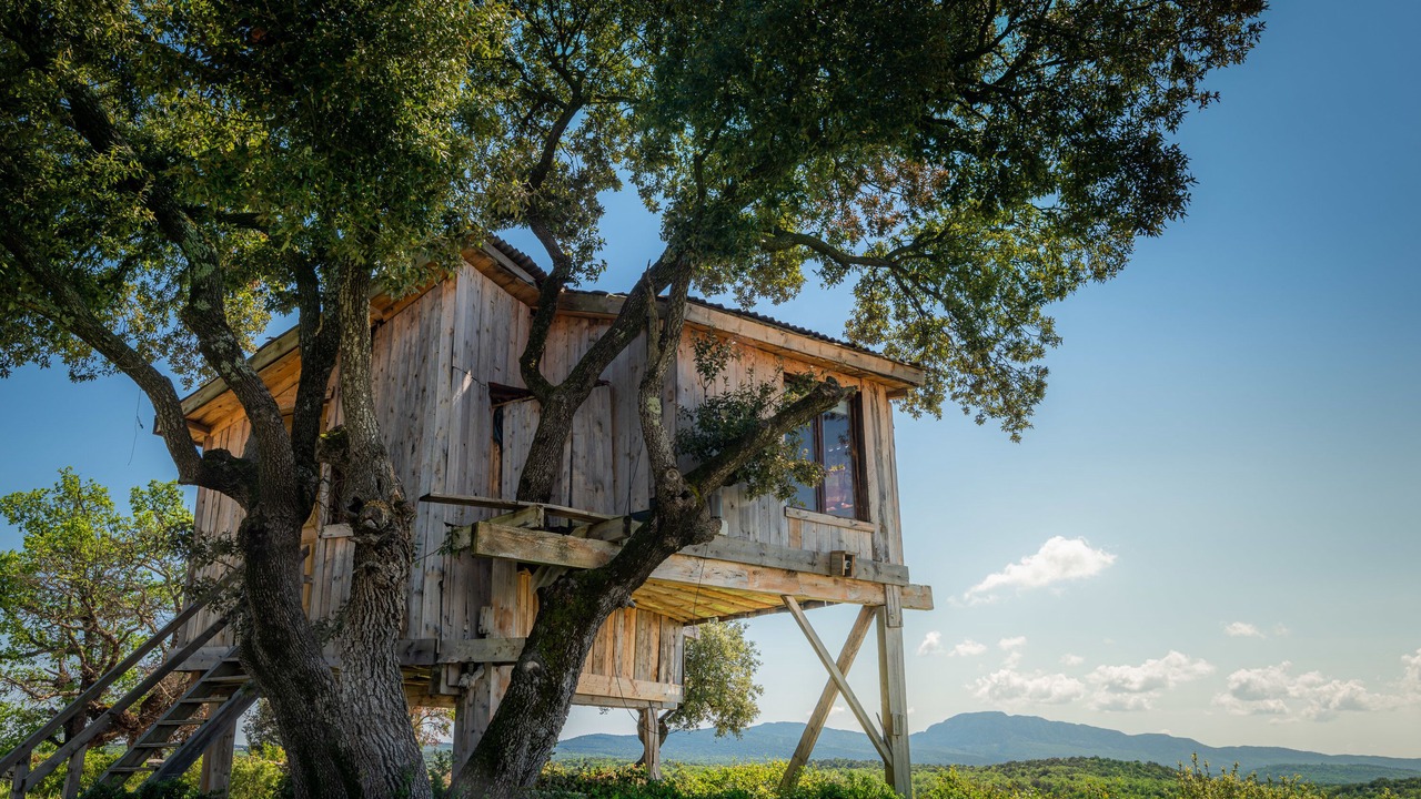 Photo of Outdoor in Claret