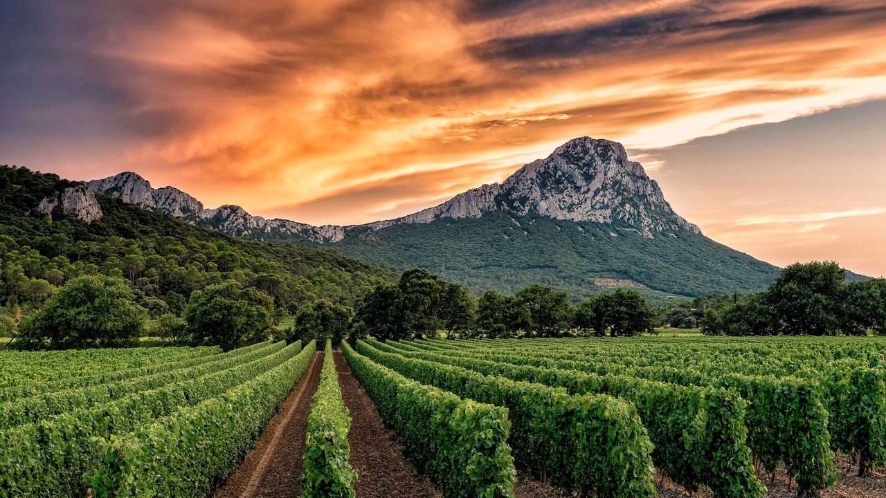 Photo of Outdoor in Claret