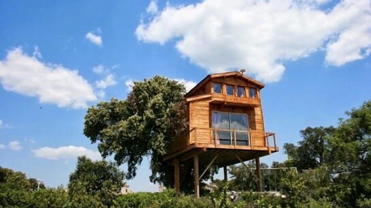 Photo of Outdoor in Claret