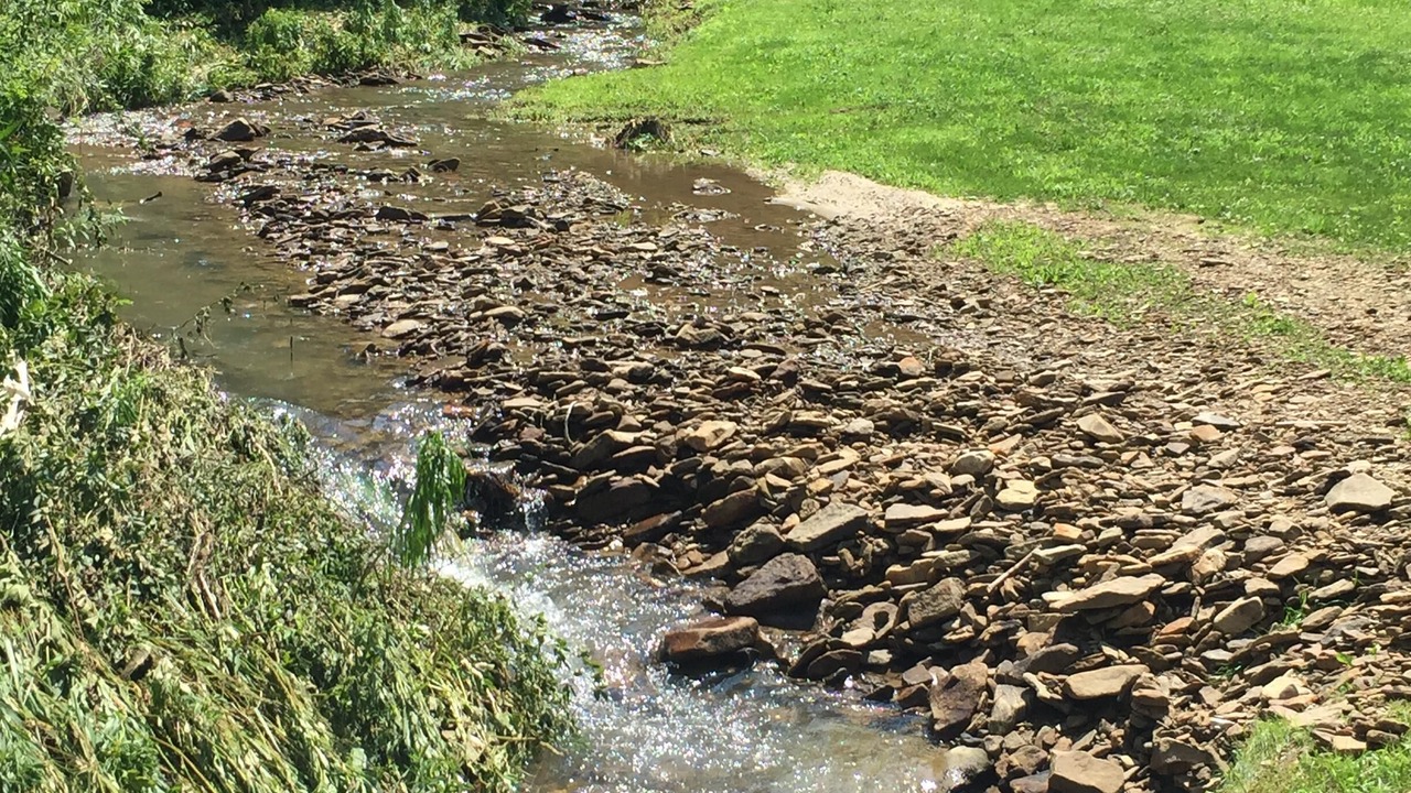 Photo of Others in Confluence