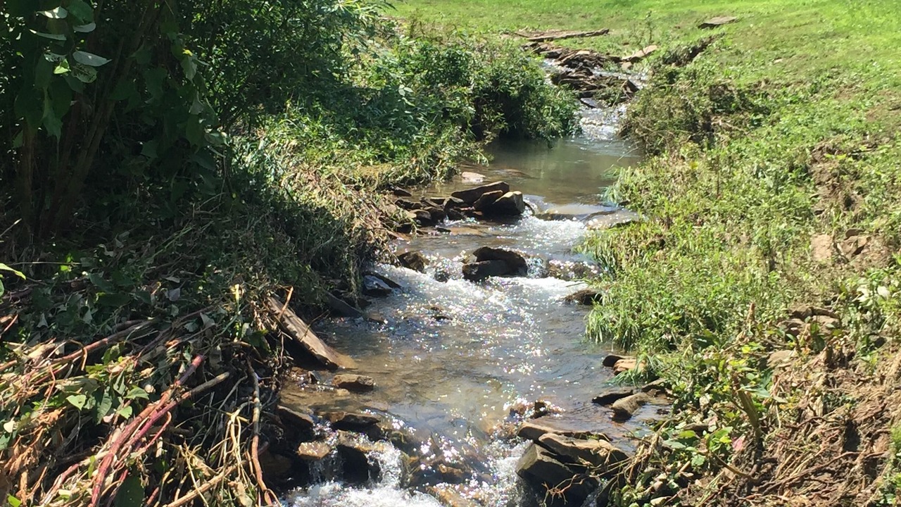 Photo of Others in Confluence