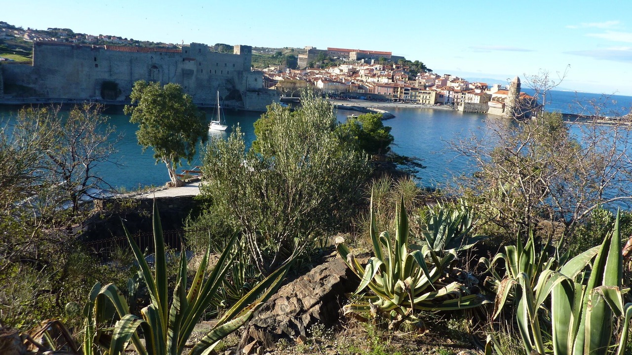 Photo of Outdoor in Sorede
