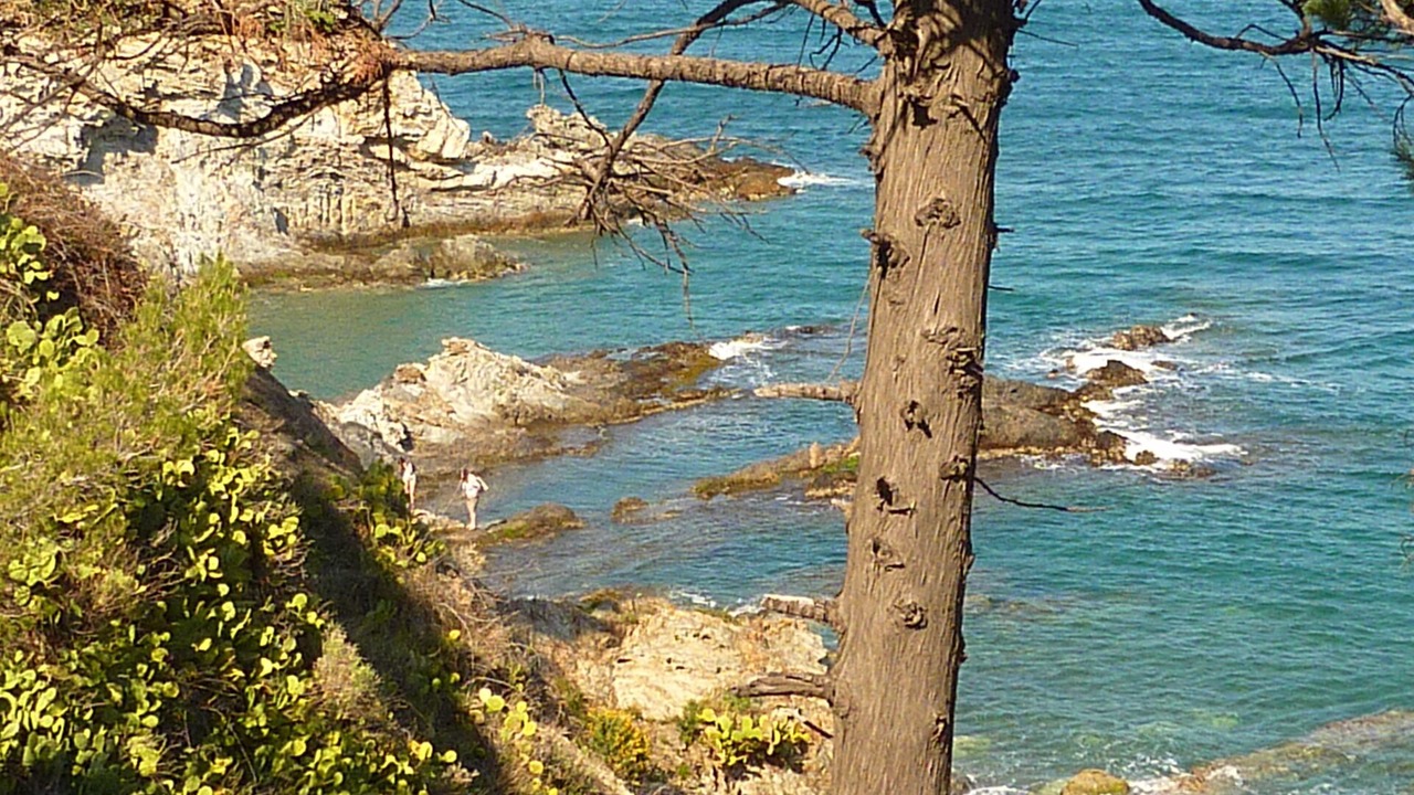 Photo of Others in Sorede