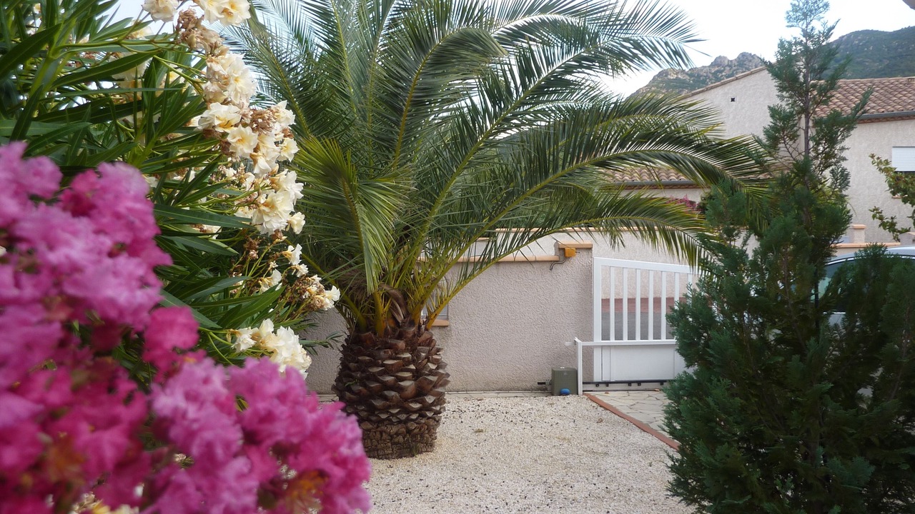 Photo of Outdoor in Sorede