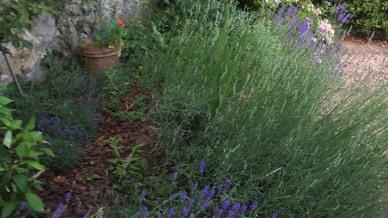 Photo of Outdoor in Blomard