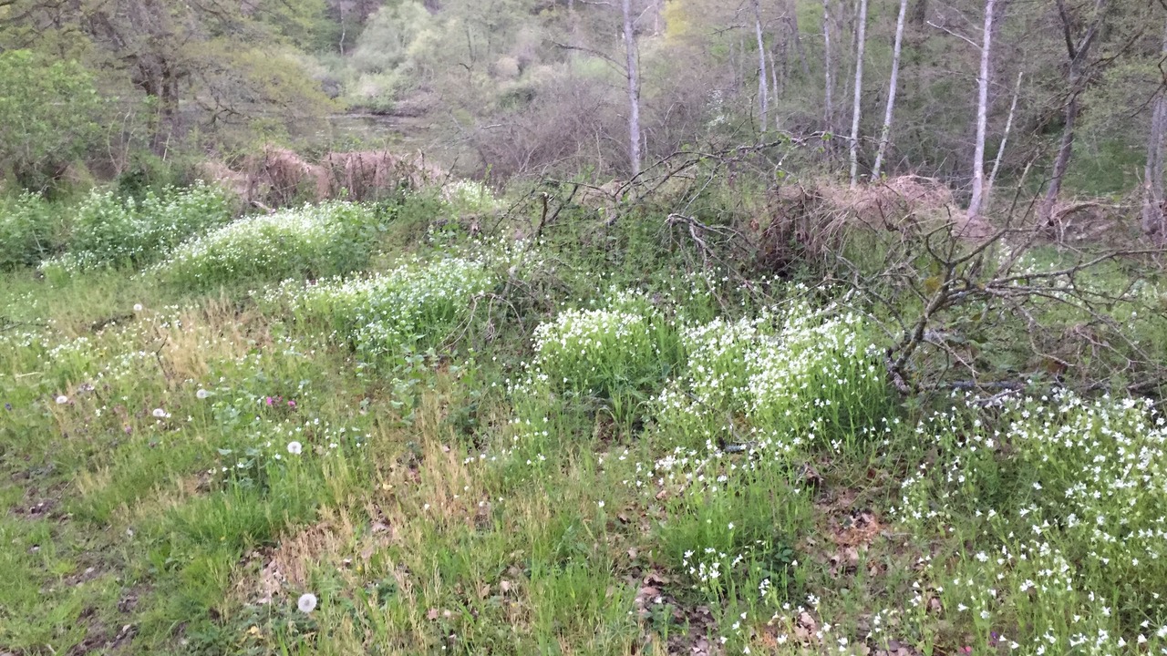 Photo of Outdoor in Blomard