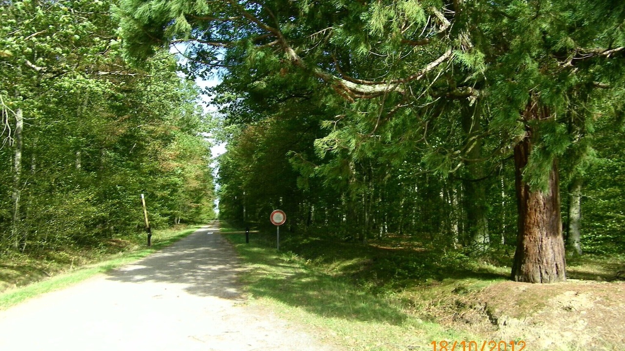 Photo of Outdoor in Blomard