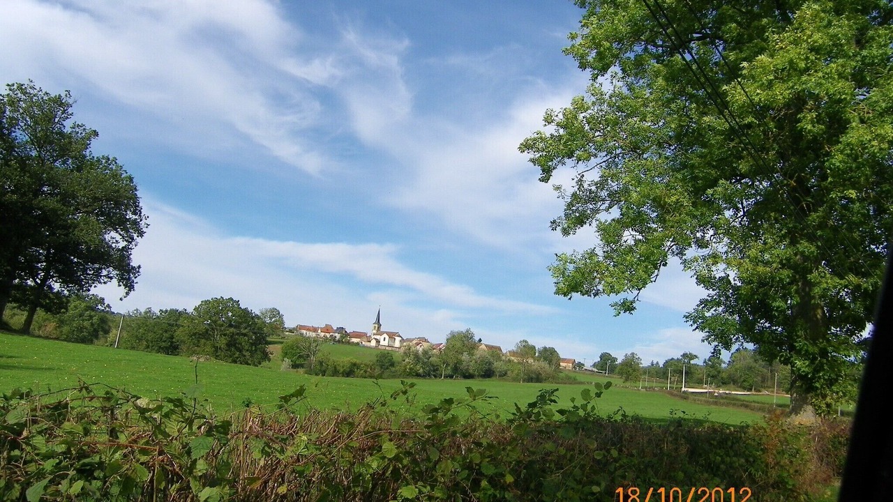 Photo of Others in Blomard