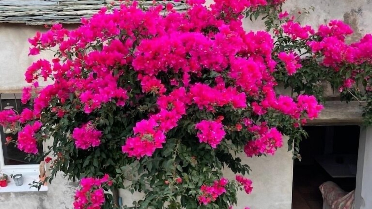 Photo of Outdoor in Meria