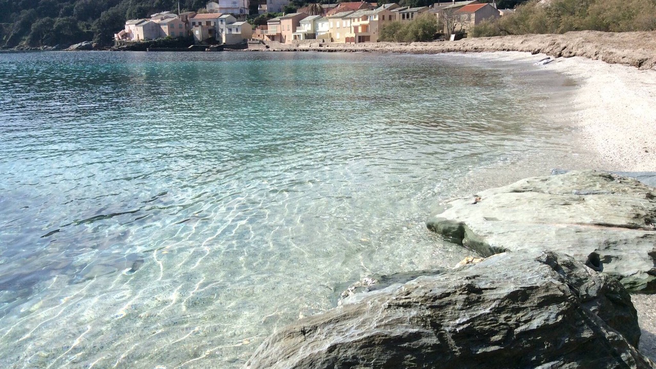 Photo of Others in Meria